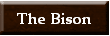 http://www.clearfieldfootball.org/fbyearbook.html